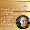45. Harm Reduction, Capitalism, Psychedelics & The Opioid Epidemic: Fighting The War On Drugs with David Levine