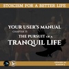 Season 5; Episode 20 (100) - YUM Chapter 15 - Stoicism For a Better Life Podcast 