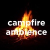 Campfire Night Ambience Sleep Sounds, Crickets, Cicadas, Lake, Nature Sounds at Night for Sleep (2 Hours, Loopable)