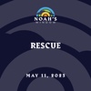 Rescue | May 11, 2023