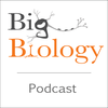 Introducing: The Science of Everything