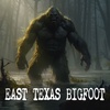 East Texas Bigfoot Witness - Interview