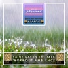 Rainy Day Outdoors Workout | 1 Hour Workout & Yoga Ambience | Fitness | Running | Walking | Exercise | Gym