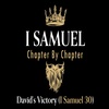 1 Samuel 30