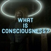 What is Consciousness? (2020 Rerun)