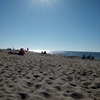 Ep 11: Shark Attack In Maine