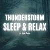 Tranquility at its finest: Listen and fall asleep fast