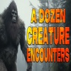 Best of Dixie Cryptid Vol 10