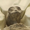 UFO UAP Conspiracy Podcasts | Mexico Alien Bodies