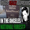 Whats Really Happening In the Angeles National Forest