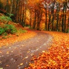 It's Too Early For Fall