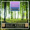 Quiet Woods Workout | 1 Hour Workout & Yoga Ambience | Fitness | Running | Walking | Exercise | Gym