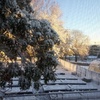 Ep 20: Halloween Snow, Surf And Xmas Trees!