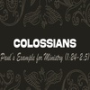 Colossians 1:24-2:5