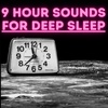 Calm Woodpecker Forest - 9 Hours for Sleep, Meditation, & Relaxation