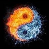 Polarization in the Dualistic Universe