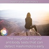 051 // The insightful thyroid antibody tests that can detect Hashimoto’s early
