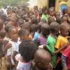 One Thousand Orphans Created Overnight