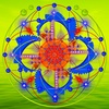 187.🌻The Sun moves into Cancer marking the Solstice- 🎯One of the four power points of the year:💖 What nurtures you? What will you sustain?🌱