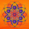 189.🌻Leo New Moon: Come back to your Heart💝The present is the point of power, pure potential is now.🎯🎯🎯