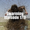 Swarming [Episode 171]