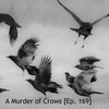 A Murder of Crows [Ep. 169]