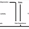 19 - Danny Miller M. Ost, Msc - The Fear Avoidance Model