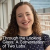 Through the Looking Glass: A Conversation of Two Labs