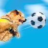 Episode 126 - Footie Dog (Soccer Dog: European Cup)
