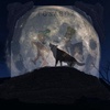Episode # 78 - Pull The Plug. Wolf Moon. Let It Drain.