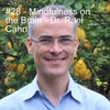 #28 - Mindfulness on the Brain - Dr. Rael Cahn