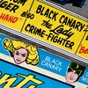 The Canary and the Cat