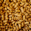 Lawsuits and Allergies and 504 Plans, Oh My!