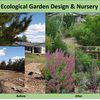 Ecological Garden/Farm Design & Yearly Nursery Event – Nathan Rosenbloom with Loping Coyote, Rosewater Ranch and Mountain Mushrooms