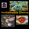 Thali – An Organic Vegetarian Sustainable Reno Restaurant