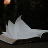 Psalm 50(51):3-6,12-14,17 for 1st Sunday in Lent Year A - Have Mercy On Us, O Lord, For We Have Sinned