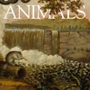 The Animals: Steven, Beaver