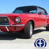 Sweet Chariot, Bruce Gamble's Classic Mustang Journey