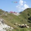 Travel to beautiful Himachal Pradesh with Sumana and Vinay