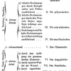 Podcast episode 6: Schleicher’s morphology and Steinthal’s Völkerpsychologie