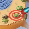 Curing Human Diseases: Targeting the Lysosome