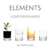 Elements - A Liquid Drum & Bass Podcast EP 18: Tribute to sunandbass