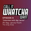 Episode 8 - Interview with Ray Jarvis