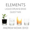 Elements - A Liquid Drum & Bass Podcast Ep 27: Guest Mix - Andrew Wowk (SYD)