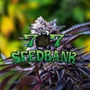 Episode 29 ft Sha bud of 707 Seedbank