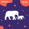 Designing Better Choices for Your Users - Laroche.fm - Ep.30