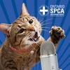 The working cats pilot program is already helping cats- Animals Voice Pawdcast - Season 7,Episode 12