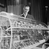 Episode 28 - The Draft Lottery