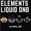 Elements - A Liquid Drum & Bass Podcast: EP 32 - Live @ Cosmonauts presents POLA & BRYSON 3/2/19