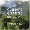 Episode 10 - Pangolins, Monkeys And An Insect Armageddon